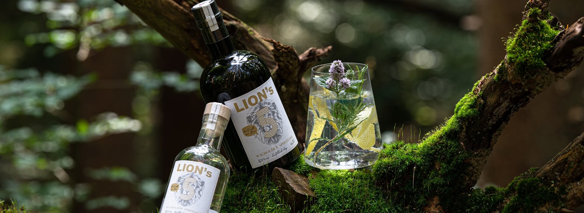 Lions 5 mit Cocktail Lons 5 schräg auf Wurzel